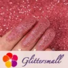 1_55a11192-bb19-46f4-9282-a82e675d227a.webp 0.2mm Coral Red Professional Cosmetic Glitter For Lip Gloss, Lipstick FCH913