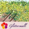 General Mixed Iridescent Phantom Olive Green Glitter C-BSL004