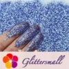 0.3mm Berlin Blue Fine Glitter Pure Color B0712