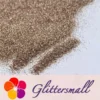 0.2mm Champagne Gold Professional Cosmetic Glitter For Lip Gloss, Lipstick FCH212