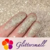 1_f928820b-a7e7-41e3-aaca-673c4a93cdf3.webp 0.2mm Champagne Gold Professional Cosmetic Glitter For Lip Gloss, Lipstick FCH215