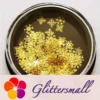20201105180608_66742378-4965-4e00-94ca-47889d5ab13d.webp 3mm Golden Mixed Snowflakes Shaped Metal Glitter MC201