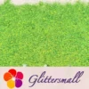 2__2_740542c5-1d04-4562-b6c5-243a0e4e5037.webp Iridescent Light Green Professional Cosmetic Cellophane Glitter Shards (Flakes) FCH13 2x2