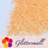 3_b5569233-da9f-4304-bda9-e995c7dac249.webp Macaron Color General Mixed Orange Glitter FC-E8037