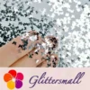 IMG_20191015_205442.webp 3mm Butterfly Shapes Silver Glitter B0100