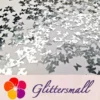 IMG_20191015_205615.webp 3mm Butterfly Shapes Silver Glitter B0100