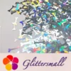 IMG_20191024_205642.webp 10mm Holographic Silver Bone Shaped Glitter LB0100