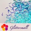 IMG_20191031_161952.webp Dolphin Shaped Dream Sky Blue Iridescent Glitter C007