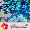 IMG_20191031_162447.webp Holographic Sky Blue Dolphin Shaped Glitter LB700