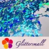 IMG_20191031_162504.webp Holographic Sky Blue Dolphin Shaped Glitter LB700