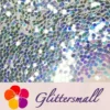 IMG_20191110_212752-2.webp 1mm Hexagon Shaped Iridescent Glitter FE-F321A