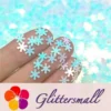 IMG_20191113_213649_349711e5-c845-4fcb-bb16-5798a896ba21.webp 6mm Snowflake Shaped Ice Blue Iridescent Glitter C021R
