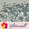 IMG_20191114_204015_a156ee77-958d-4967-b7f0-8d4ff038e682.webp 9mm Snowflake Shaped Mirror Silver Glitter GSY001