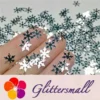 IMG_20191114_204204_6a9f0a7d-692e-47c7-8de8-9e8759c86b80.webp 9mm Snowflake Shaped Mirror Silver Glitter GSY001