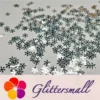 IMG_20191114_204237_71e1c6bb-a9fe-497d-92d2-699cc15afe13.webp 9mm Snowflake Shaped Mirror Silver Glitter GSY001