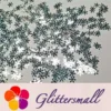 IMG_20191114_204244_c0a4a39e-e1fb-49c2-bb35-c3047fe1cdd2.webp 9mm Snowflake Shaped Mirror Silver Glitter GSY001