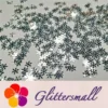 IMG_20191114_204252_7090f192-9955-43e5-8f76-f2d497af1ff8.webp 9mm Snowflake Shaped Mirror Silver Glitter GSY001
