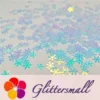 IMG_20191114_204839_a7f755cb-ddfd-4f48-9e3e-abaa25e4d4e7.webp 9mm Snowflake Shaped Iridescent Glitter C021R