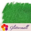 0.2mm hexagon green cosmetic grade biodegradable glitter in bulk BIO006