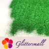 0.2mm hexagon green cosmetic grade biodegradable glitter in bulk BIO006