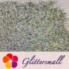 IMG_20191203_154030.webp 0.8mm Hexagon Cosmetic Grade Holographic Gray Glitter SLG011