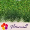 0.2mm Forest Iridescent Glitter Powder LSB0013