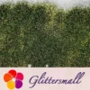 0.2mm Forest Iridescent Glitter Powder LSB0013