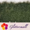 IMG_20191218_163649_d8048fa3-ce87-42d2-ace0-5fecf7d52940.webp 0.2mm Forest Iridescent Glitter Powder LSB008