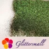 IMG_20191218_163708_4ed2f9c5-5940-4641-918b-a800ba5dad1f.webp 0.2mm Forest Iridescent Glitter Powder LSB008