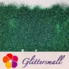 IMG_20191218_165046_7e4e4047-1a1f-4bff-9831-c4f2779ec335.webp 0.2mm Forest Iridescent Glitter Powder LSB0014
