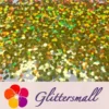 IMG_20191230_204416_97b38797-19bf-4d11-8460-f8fb126f0d58.webp 3mm Round Shaped Holographic Gold Glitter LB0210