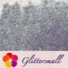 0.2mm Holographic Pigment Silver Glitter Cosmetic Grade SLG001