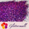 IMG_20200201_164013.webp 1mm Hexagon Shapes Laser Purple Glitter LB0800