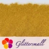 0.2mm Professional Cosmetic Glitter For Lip Gloss, Lipstick Holographic Gold FCHL200
