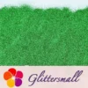 IMG_20200411_151939_3669a7e3-d11d-4cdd-bda3-a5a262722ac9.webp 0.2mm Professional Cosmetic Glitter For Lip Gloss, Lipstick Holographic Green FCHL609