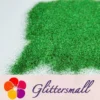 IMG_20200411_151946.webp 0.2mm Professional Cosmetic Glitter For Lip Gloss, Lipstick Holographic Green FCHL609