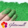 IMG_20200411_152037.webp 0.2mm Professional Cosmetic Glitter For Lip Gloss, Lipstick Holographic Green FCHL609