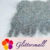 IMG_20200411_152346.webp 0.2mm Professional Cosmetic Glitter For Lip Gloss, Lipstick Holographic Silver FCHL100
