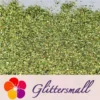 IMG_20200423_210150_5920fda9-538f-4a0a-aa51-64f00dd8ee77.webp 2x2 Glitter Holo Shards (Flakes) Holographic Pigment Golden Green Glitter Solvent Resistant SLG007