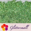 IMG_20200423_211203_20b823a8-f0e0-4f7a-83fe-638ee094c5b1.webp 2x2 Glitter Holo Shards (Flakes) Holographic Pigment Grass Green Glitter Solvent Resistant SLG008