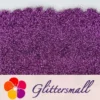 IMG_20200520_214159.webp 0.2mm Professional Cosmetic Glitter For Lip Gloss, Lipstick Purple FCH800