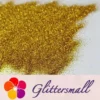IMG_20200613_202906.webp 0.2mm Dark Gold Fine Glitter Pure Color B0205