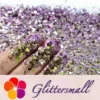 IMG_20200702_200707.webp General Mixed Iridescent Phantom Purple Glitter C-BSL7822