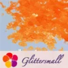 IMG_20200910_202947.webp Halloween Pumpkin Ghost Skull Special Mixed Bright Orange Glitter Y504