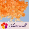 IMG_20200910_203001.webp Halloween Pumpkin Ghost Skull Special Mixed Bright Orange Glitter Y504