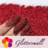 IMG_20200916_211244.webp 0.3mm Burgandy Wine Red Fine Glitter Pure Color B0304