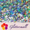 IMG_20200916_212219.webp 6mm Holographic Silver Bone Shaped Glitter LB0100