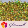 6mm Holographic Gold Hollow Out Star Shaped Glitter LB0210