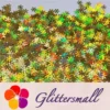IMG_20200926_193248.webp 9mm Snowflake Shaped Holographic Gold Glitter LB0210