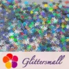 IMG_20200926_193618.webp 9mm Snowflake Shaped Holographic Silver Glitter LB0100